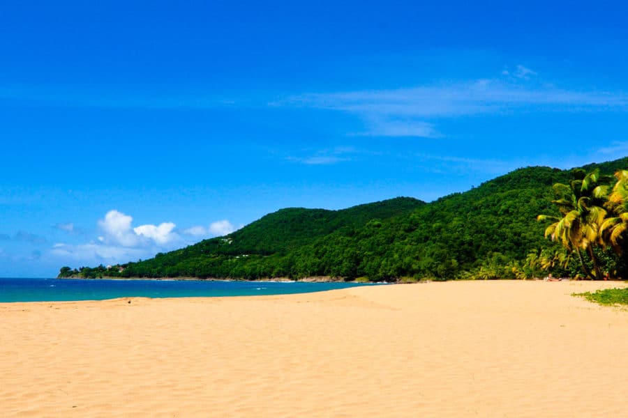 La plage de Grande Anse à Deshaies, sable doré et cocotiers, Guadeloupe